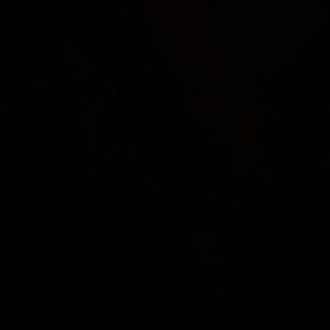 Meet your Posher, Abbi